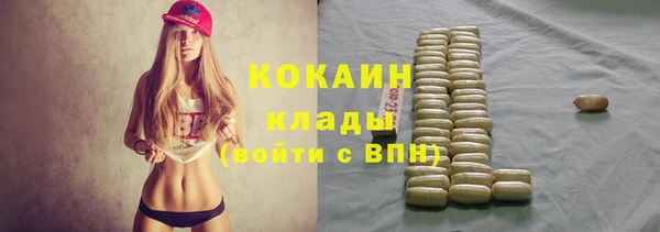 молекула духа Елизово