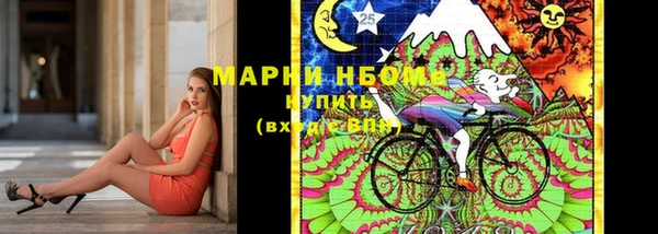 молекула духа Елизово